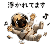 856593979