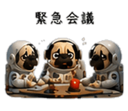 856593982