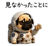 856593986