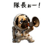 856593987