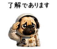 856593988