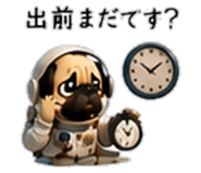 856593997