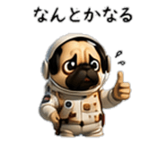 856594004