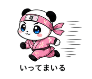 856594076