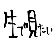 856594414