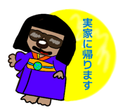 856594536