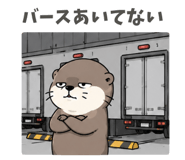 856594554