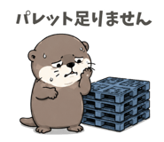 856594557