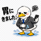 856594761