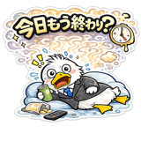 856594775