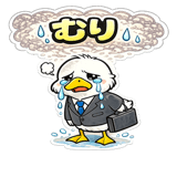 856594787
