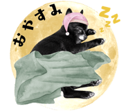 856595038