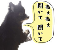 856595049