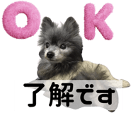 856595055