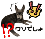 856595058