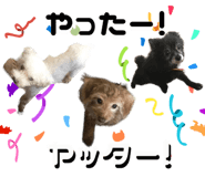 856595059