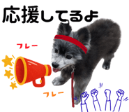 856595062