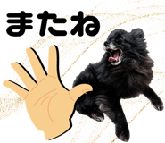 856595064