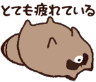 856595479