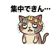 856595598