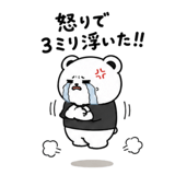856595906