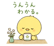 856597406