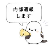 856597552