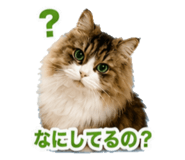 856597649