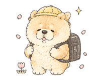 856597886