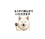 856597936