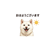 856597939