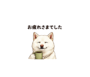 856597940