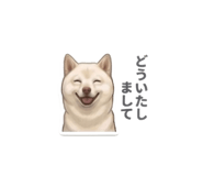 856597961