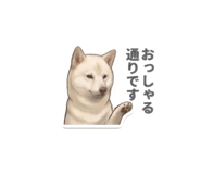 856597962