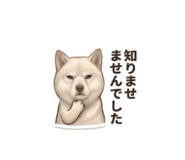 856597963
