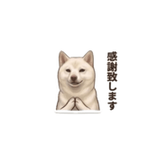 856597965