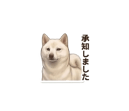 856597966