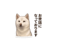 856597967