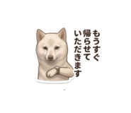 856597968