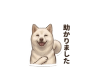 856597969