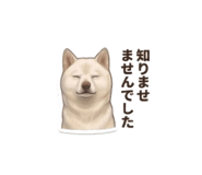 856597970