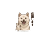 856597972