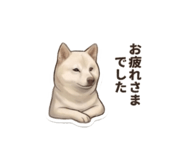 856597974