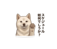 856597975