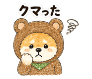 856598647