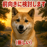856598882
