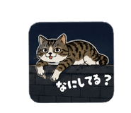 856600252