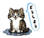 856600253