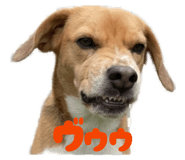 856600307