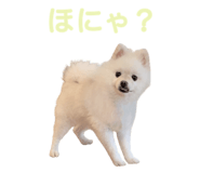 856600763